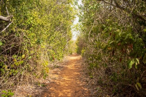 Kilifi County Community Goes Green with Solar Lanterns and Energy-Efficient Cookstoves to Promote Environmental Conservation