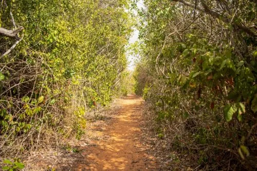 Kilifi County Community Goes Green with Solar Lanterns and Energy-Efficient Cookstoves to Promote Environmental Conservation