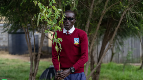 Africa Solutions Media Hub: Roots of change: Transforming Narok County’s Landscape a tree at a time.