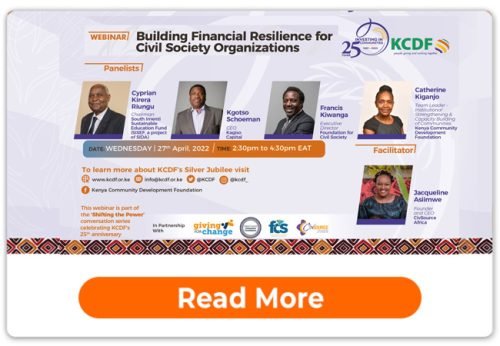 Webinar: Building Financial Resilience for Civil Society Organizations