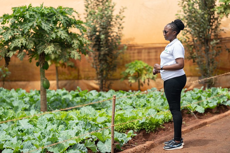 Jacinta Wambua, EDCA's Programmes Officer looking at their farm