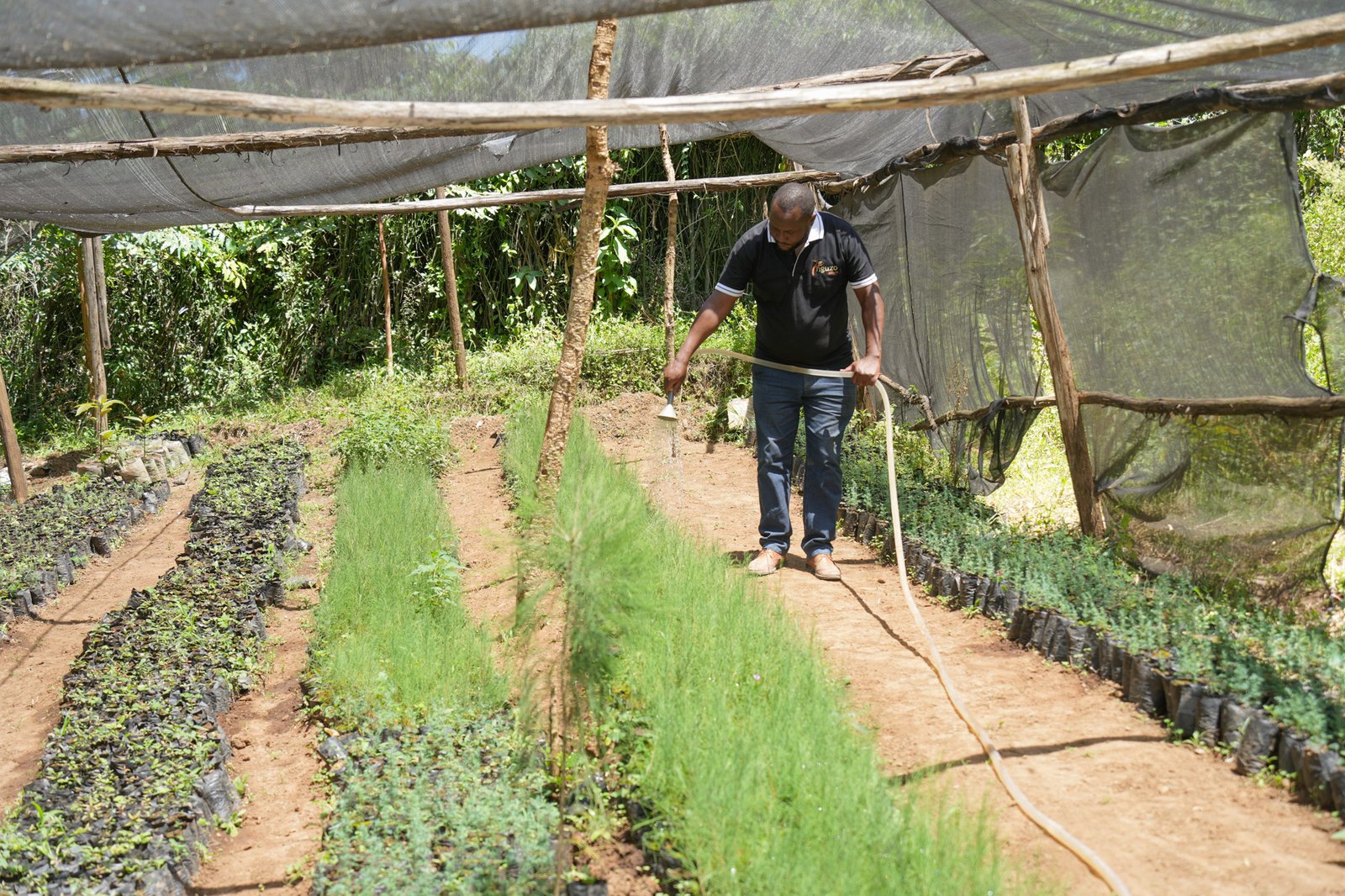Nguzo Africa’s Green Movement in Narok County