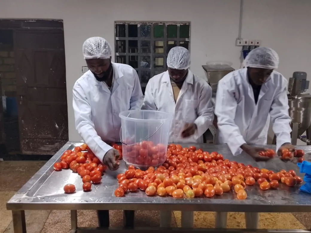 How youth innovation is powering community resilience in Nyandarua County