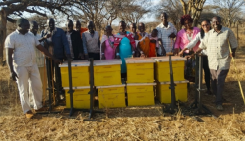 Diversifying Livelihoods through sustainable beekeeping 
