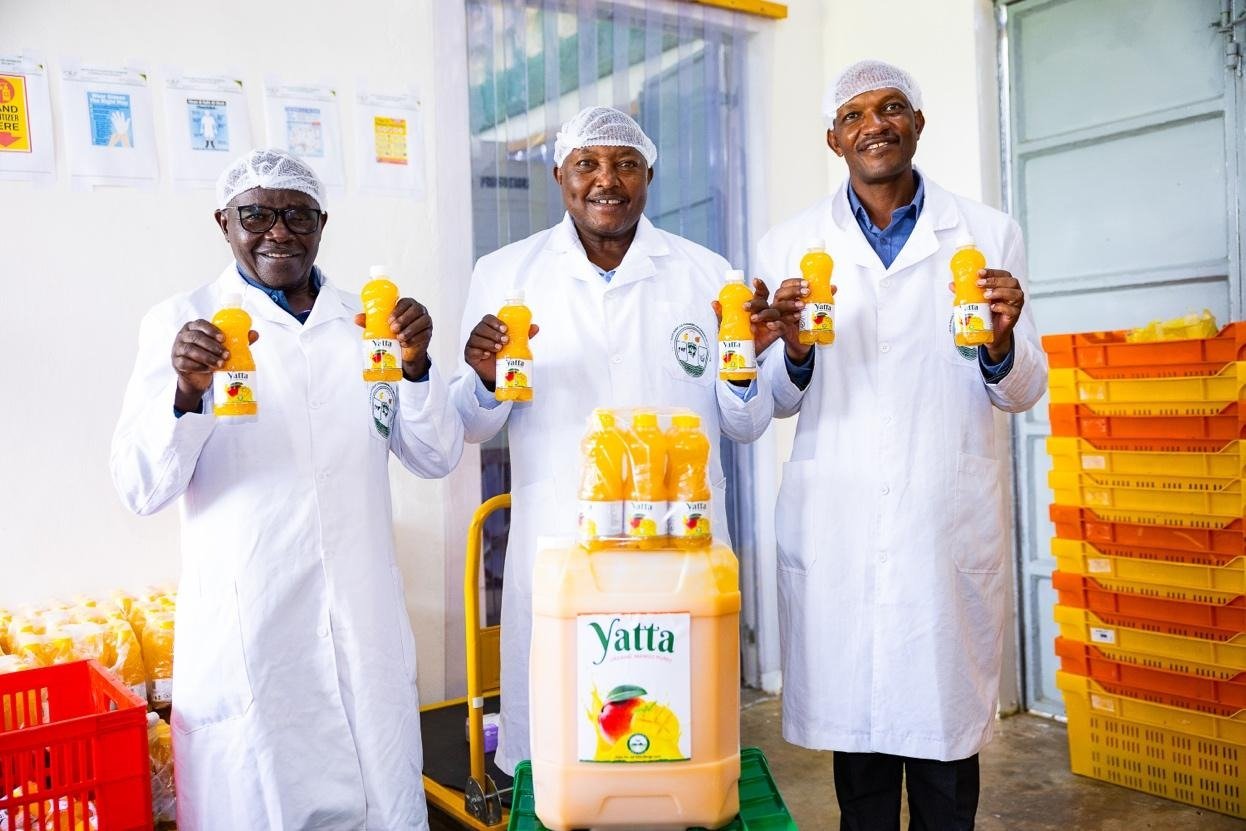 A Juicy Turnaround; How collective action is transforming mango farming in Yatta